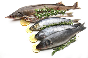 Fresh fish with lemon and rosemary isolated on white