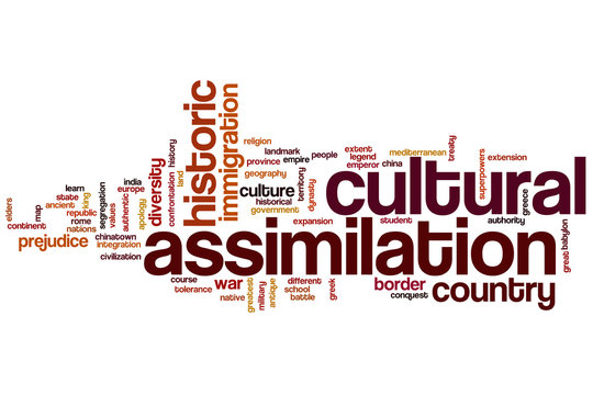 Cultural assimilation word cloud