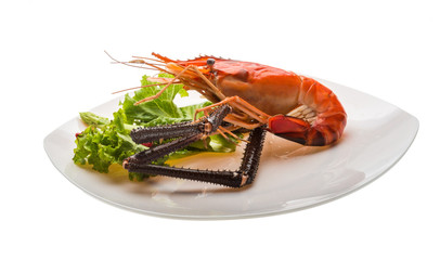 Giant Freshwater Prawn