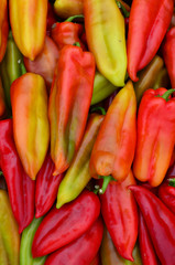 Immature red peppers