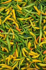 Hot green and yellow peppers