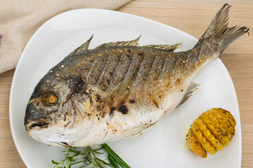 Grilled dorado