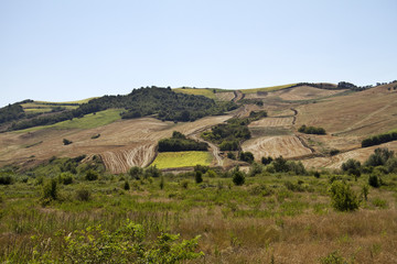 Campagna nei dintorni di andria