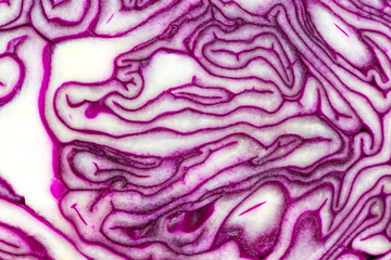 Obraz premium Rotkohl - Struktur
