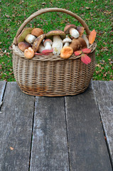 Wild mushrooms in a a wicker basket