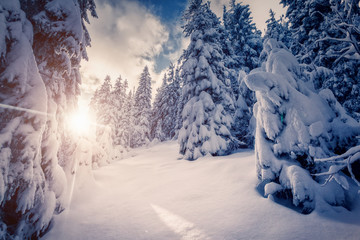 Amazing winter landscape