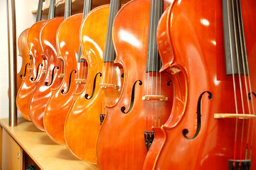 Cello Detailansicht Korpus Celli