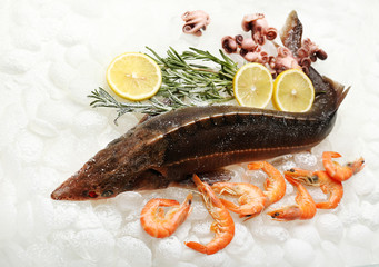 Fresh fish and other seafood on ice