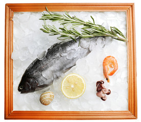 Fresh fish and other seafood on ice