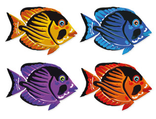 colorful fish
