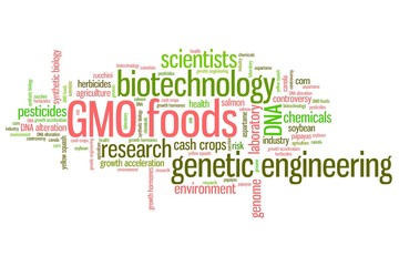 GMO concepts - word cloud concept