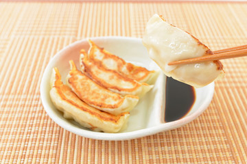 美味しそうな餃子