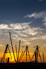 Silhouette tripod, all three of which are located near the wood