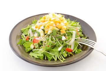 美味しそうなサラダ