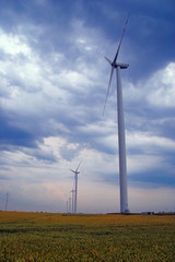 wind farms on meadow in Poland.