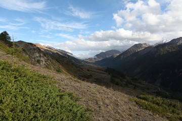 Saison Berger, Alpes de hautes Provence