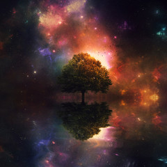 Fototapeta na wymiar Night sky and tree