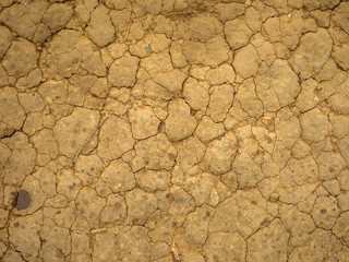 cracked earth