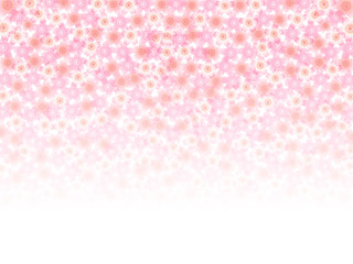 桜　花　背景