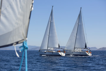 Fototapeta premium Sailing boats during a sea race. Yacht. Sailing.