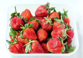 Fresh red strawberries in food storage container