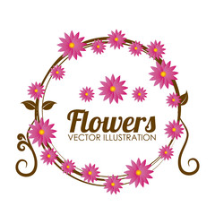 Flowers design, vector illustration.