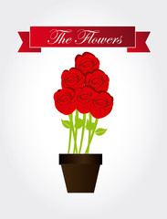 Flowers design, vector illustration.
