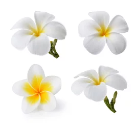 Door stickers Frangipani Tropical flowers frangipani (plumeria) isolated on white backgro