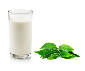 glass of milk and green tea leaf isolated on white background