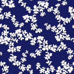 植物のパターン