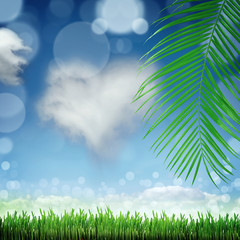 Obraz premium natural green background with selective focus