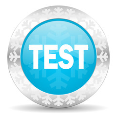 test icon, christmas button