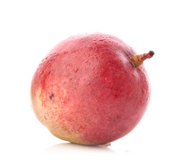 mango fruit isolated on white background