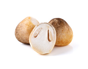straw mushroom isolated on white background