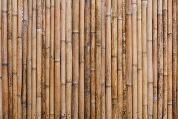 bamboo fence background