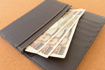 お財布に入れた紙幣