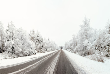 Hoge venen in snow