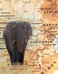 Elephant overlying a vintage map of Tanzania