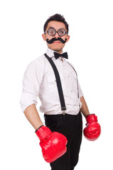 Funny boxer isolated on the white background