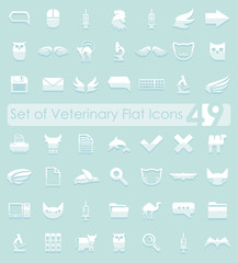 Set of veterinary flat icons