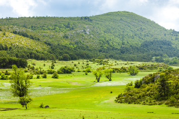 landscape near Verdon, Provence, France