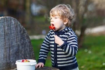 Lovely blond boy of two years eating strawberries outdoors