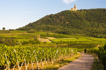castle Ortenbourg, Alsace, France