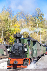 Obraz premium steam train, Steinbach - Johstadt, Germany