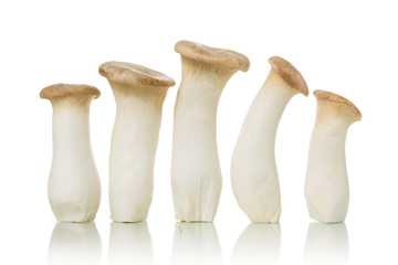 King Oyster mushroom (Eringi) isolated on white.
