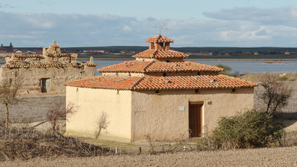 Palomar. Reserva Natural Lagunas de Villafáfila, Zamora.