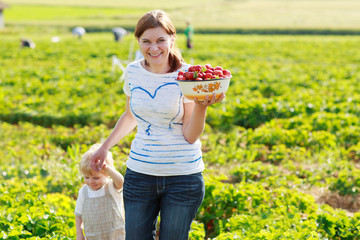 mother and her little kid child on organic strawberry farm