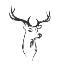 Deer head on white background