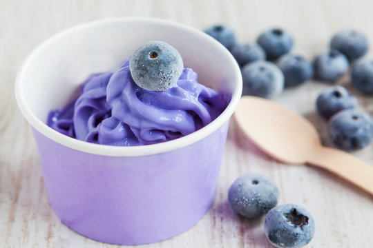 Frozen Creamy Ice Yoghurt  With Whole Blueberries