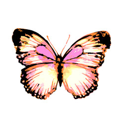 butterflies design